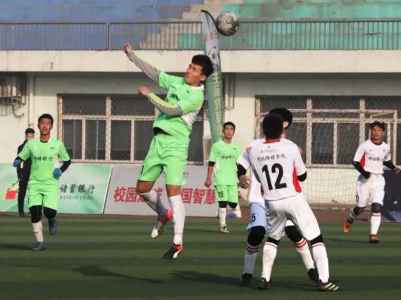 关于新球体育比分网即时比分